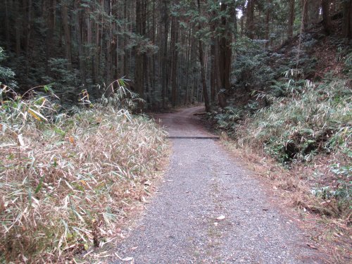 林道